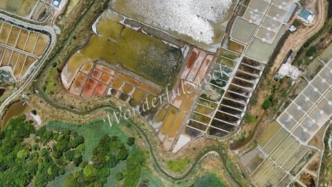Salines colorées à Guérande, France, avec des bassins d'eau et une végétation verdoyante environnante.